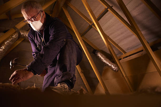 Best Insulation Installation Services in Freeport, FL